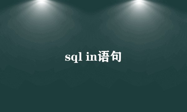 sql in语句