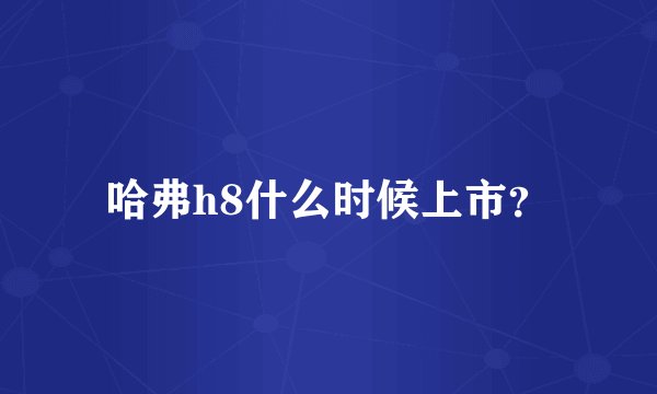 哈弗h8什么时候上市？
