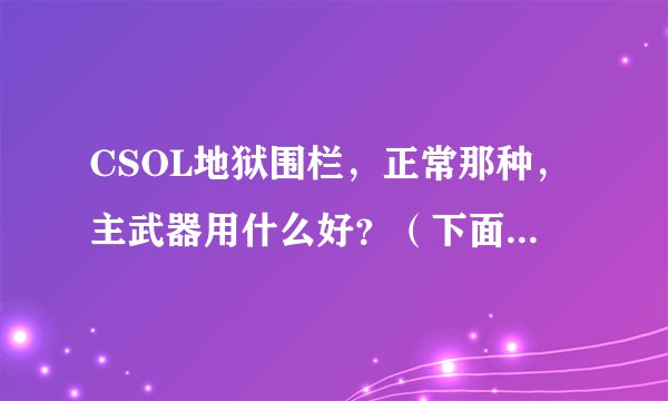 CSOL地狱围栏，正常那种，主武器用什么好？（下面提到的）